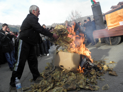 Тютюнджии излязоха на протест и палиха продукция на изхода на Дулово 