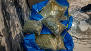 Създадена е специална структура Алианс на европейските пристанища за борба