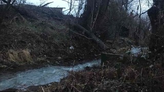 Завод замърсява река Манастирска в Сопот