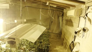 Криминалисти и съвместно с екип на Енерго Про Варна удариха