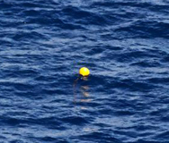 Засякоха сигнал от черните кутии на йеменския "Еърбъс"